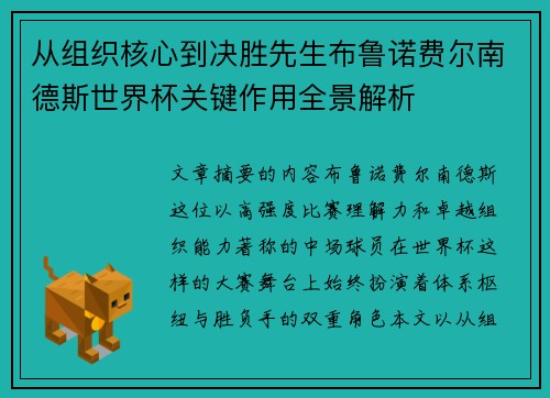 从组织核心到决胜先生布鲁诺费尔南德斯世界杯关键作用全景解析